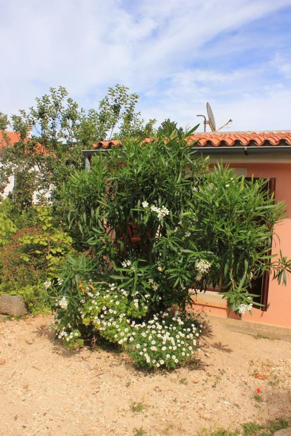 Apartments With A Parking Space Veli Losinj, Losinj - 8029 Exteriör bild